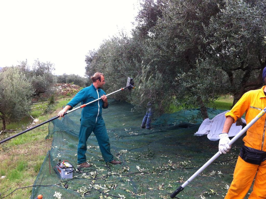 Agriturismo Casa Rosa Βερόνα Εξωτερικό φωτογραφία