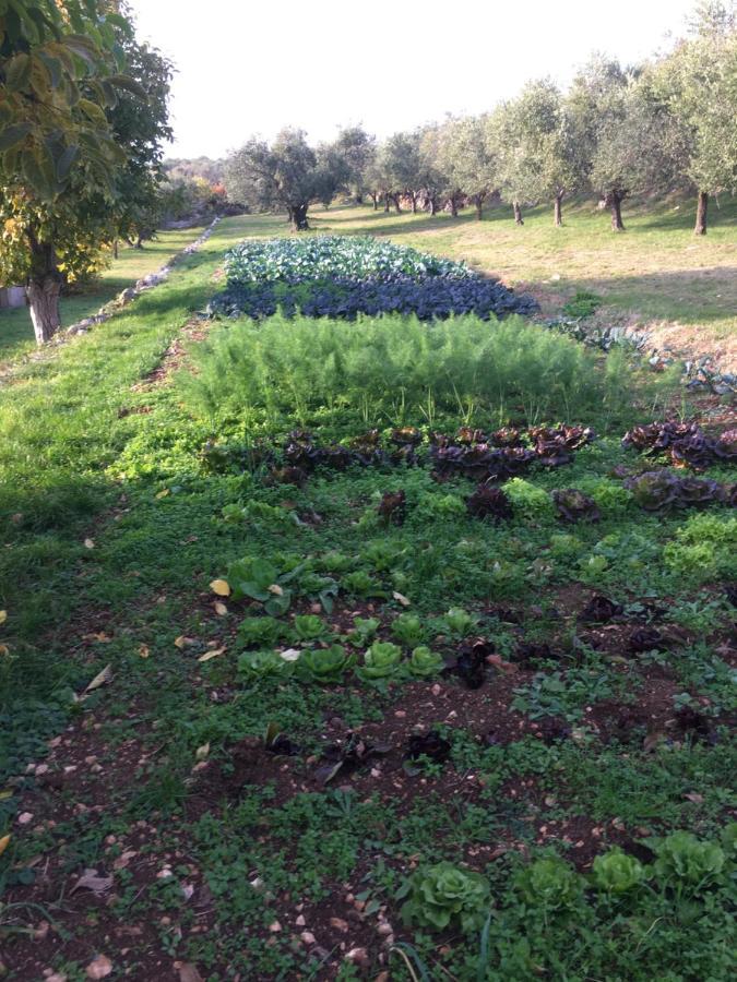 Agriturismo Casa Rosa Βερόνα Εξωτερικό φωτογραφία