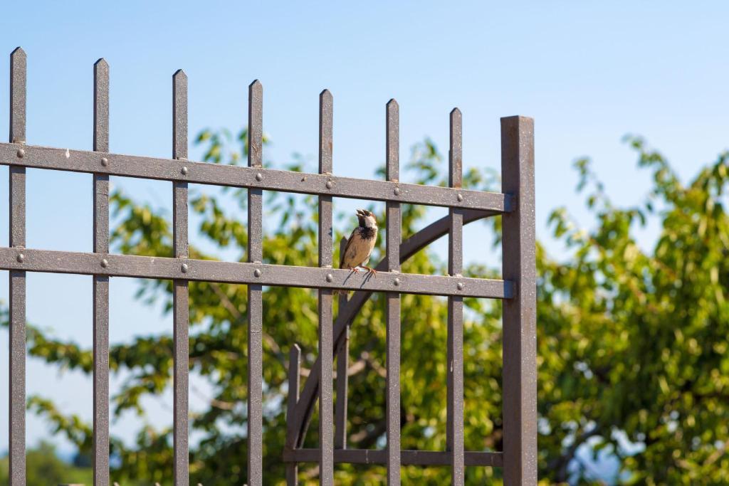 Agriturismo Casa Rosa Βερόνα Εξωτερικό φωτογραφία