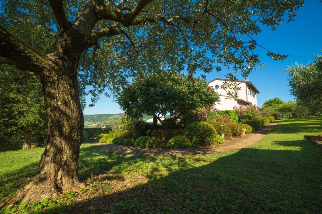 Agriturismo Casa Rosa Βερόνα Εξωτερικό φωτογραφία